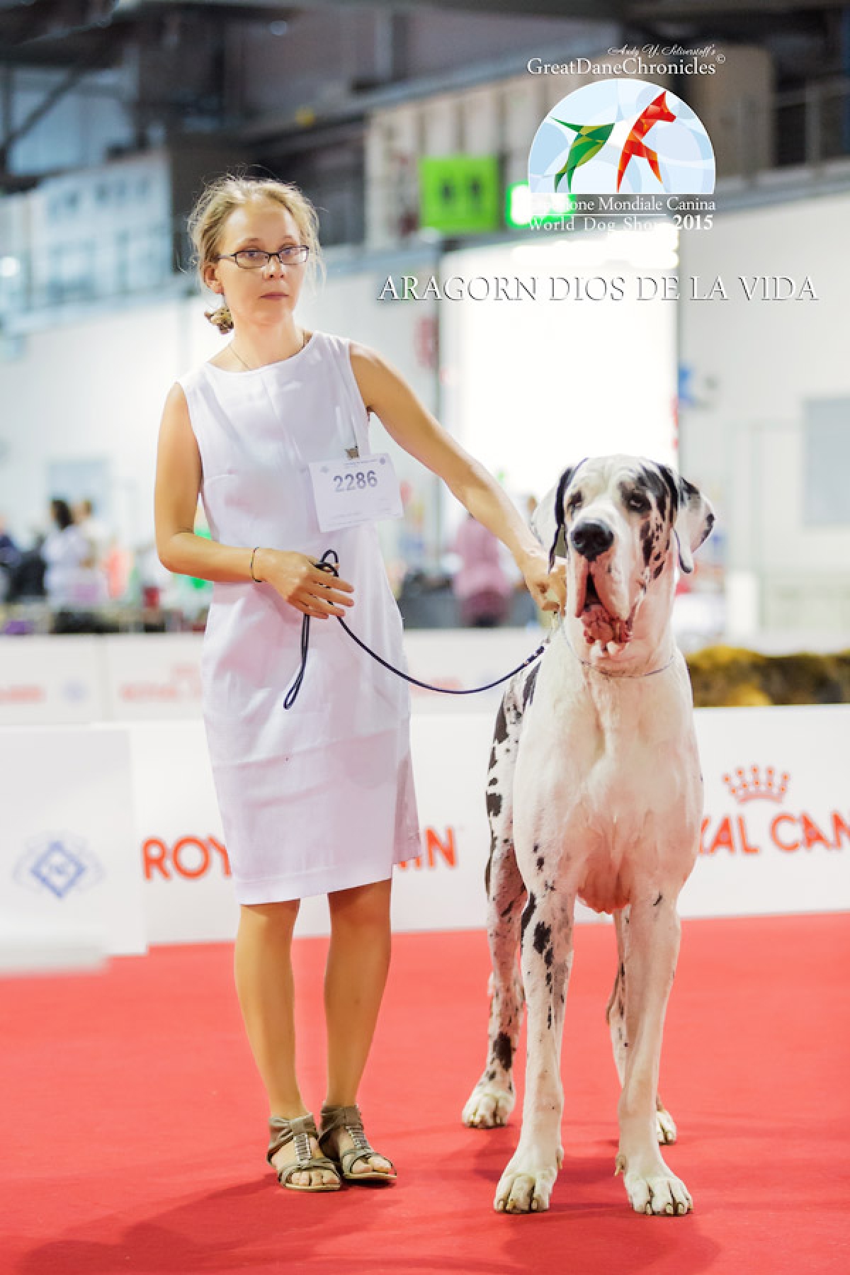 World dog Show, Milan 2015